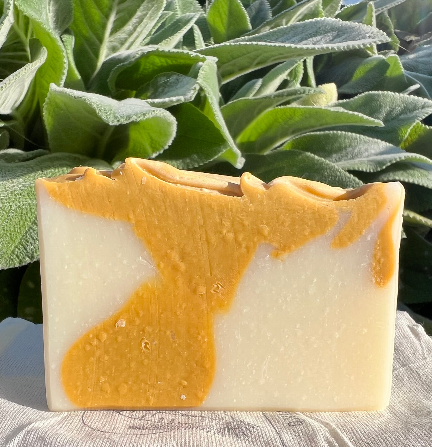 Sunrise Citrus Mint