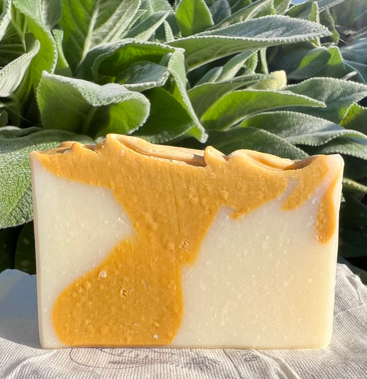 Sunrise Citrus Mint